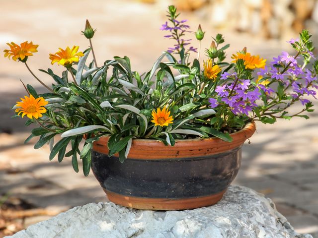 Almhütte Hühnerstall