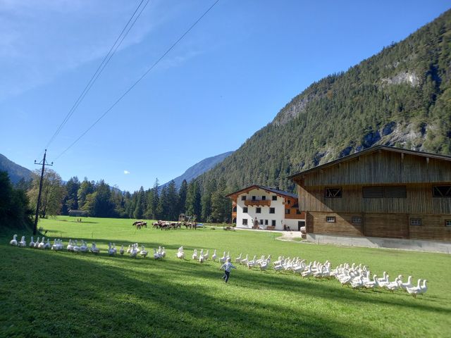 Ferienbauernhof Schwaigergut