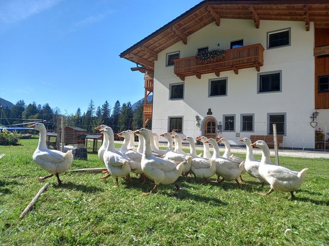 Ferienbauernhof Schwaigergut