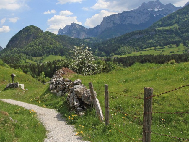 Gästehaus Flatscher (FEWO)